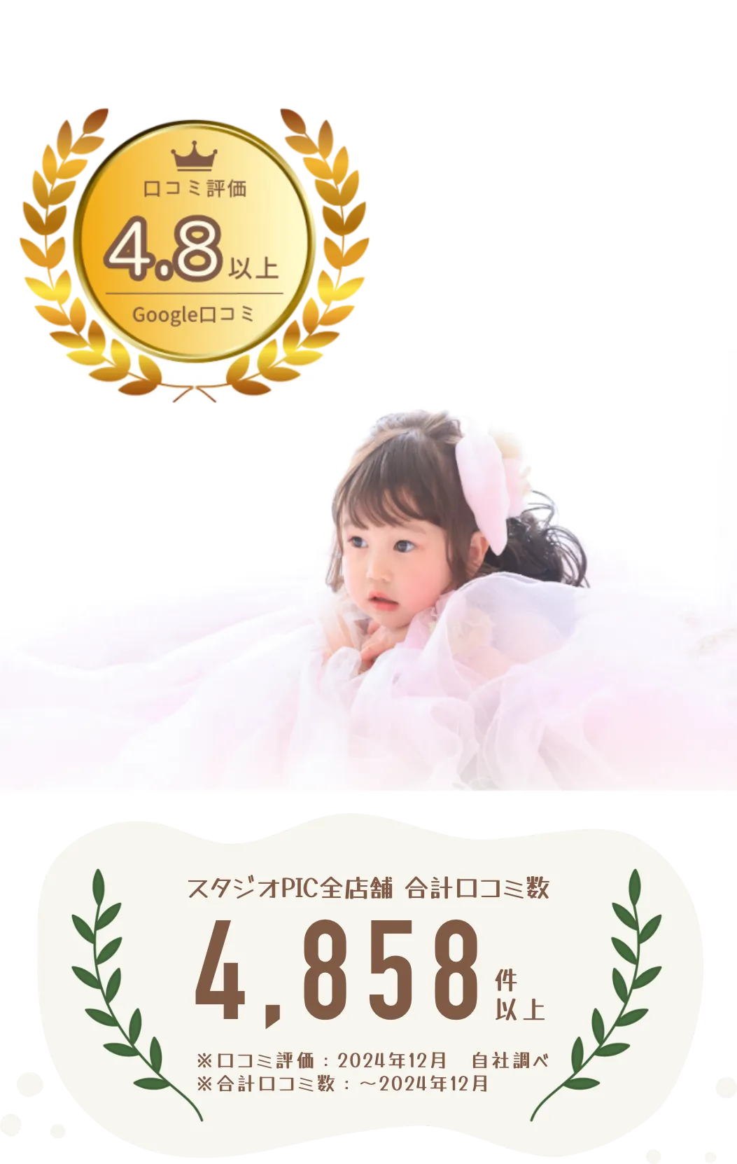 ハーフ成人フォトキャンペーン point 