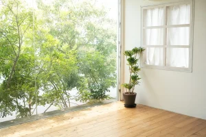 写真館 スタジオ 水戸本店 Cスタジオ おしゃれ