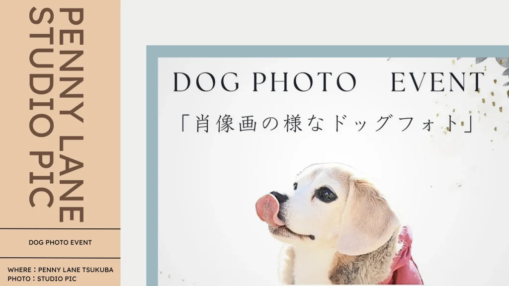 スタジオピック 写真館 Studio PIC 【5/19開催】PENNY LANE 様とのコラボ企画