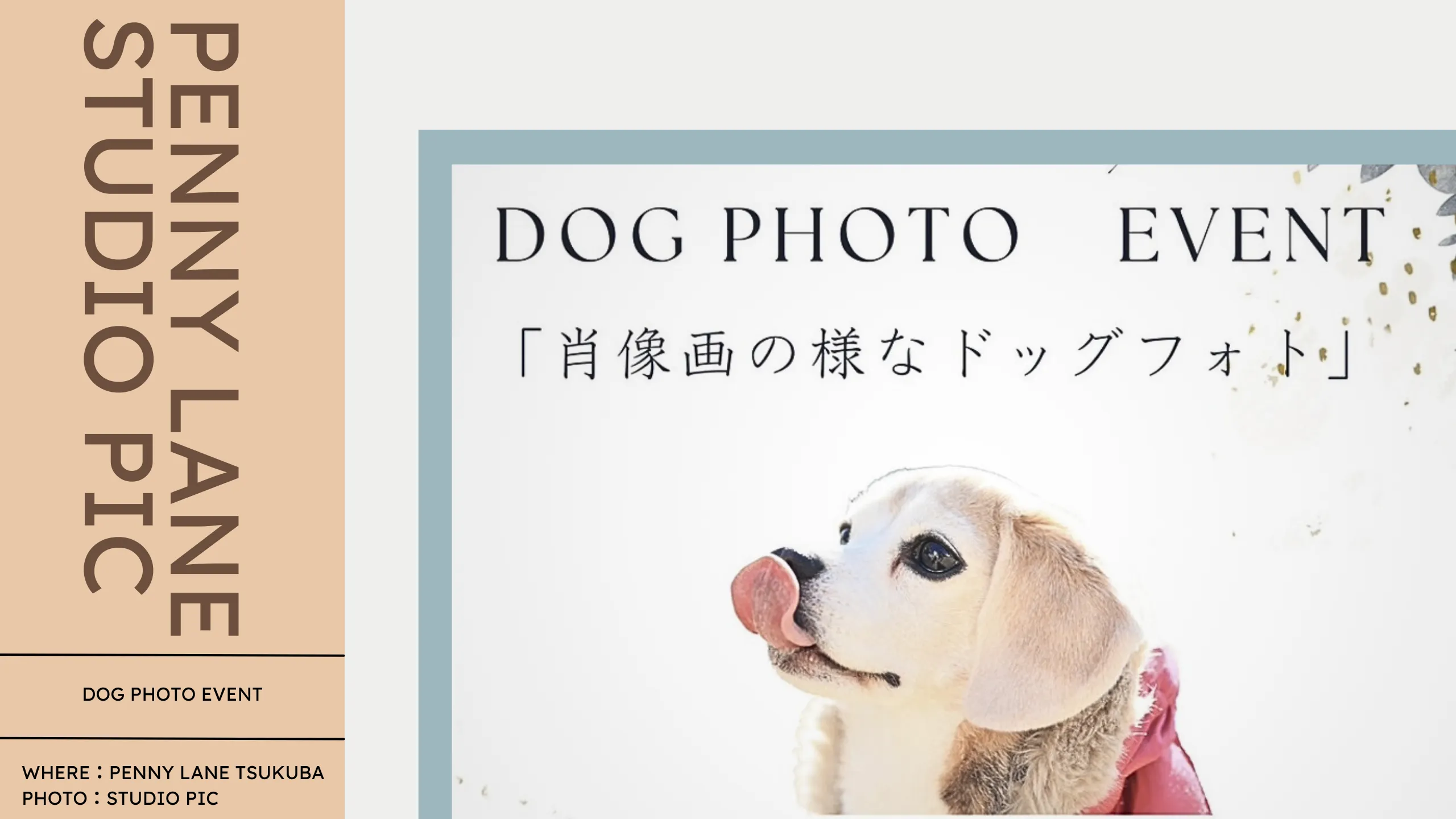 つくば イベント ドック フォト スタジオ ピック ペニーレイン