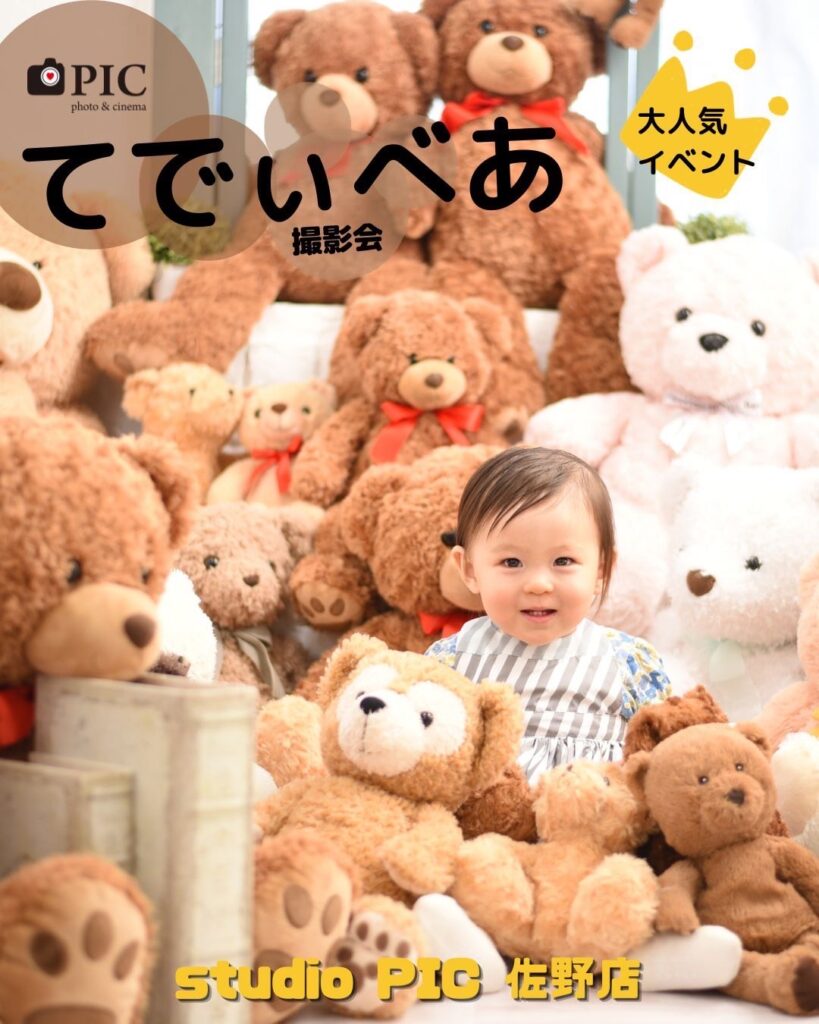 スタジオピック 佐野店 スタッフブログ てでぃべあ撮影会🧸12月開催日のご案内❣️【Studio PIC佐野店 写真館📸】