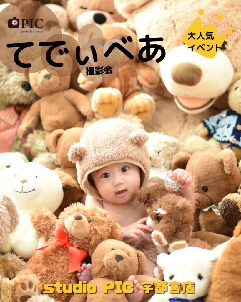 スタジオピック 宇都宮店 スタッフブログ テディベア撮影会🐻【studioPIC宇都宮店📷写真館】