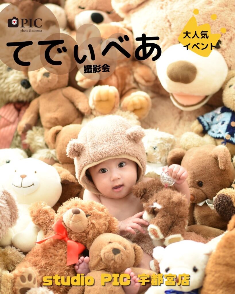 スタジオピック 宇都宮店 スタッフブログ テディベア撮影会🐻２月開催日【studioPIC宇都宮店🧸写真館】