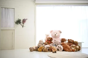 写真館 スタジオ 京都精華店 スタジオ12 おしゃれ