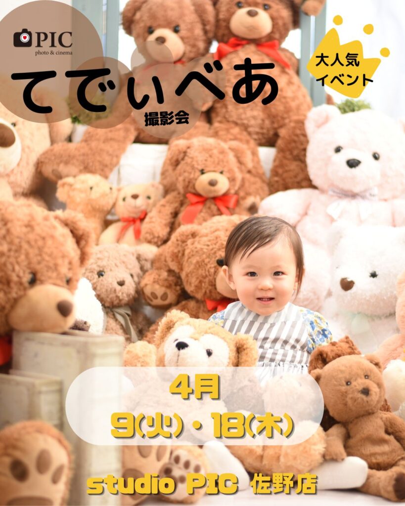 スタジオピック 佐野店 スタッフブログ てでぃべあ撮影会🧸【スタジオピック  佐野店　写真館】