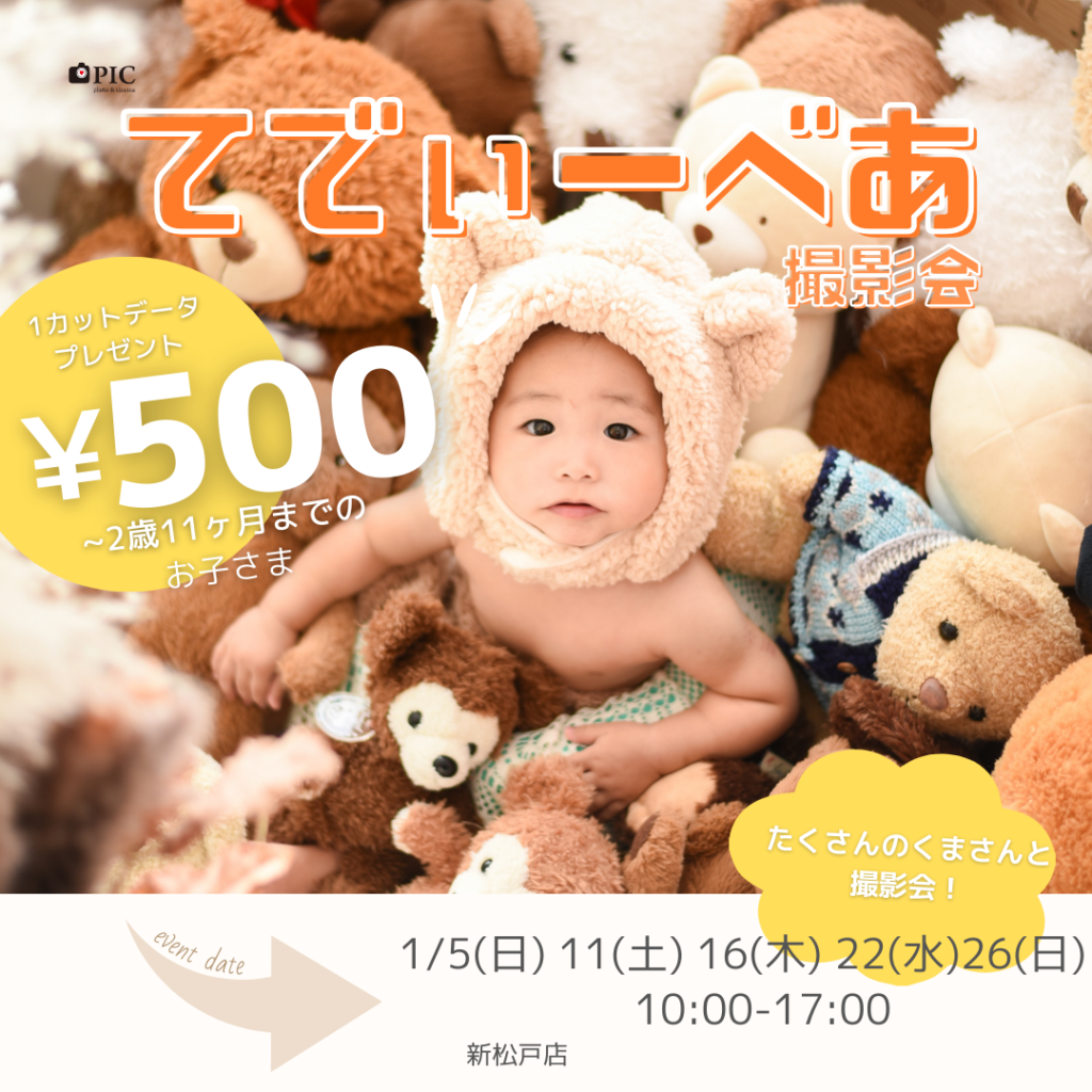 スタジオピック 新松戸店 スタッフブログ １月てでぃべあ撮影会🧸