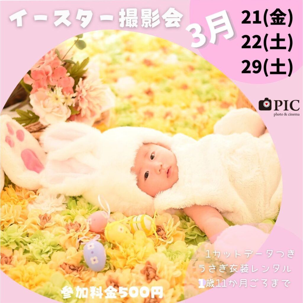 スタジオピック 佐野店 スタッフブログ 急遽追加開催決定‼️イースター撮影会🐣【スタジオピック佐野店 写真館📸】