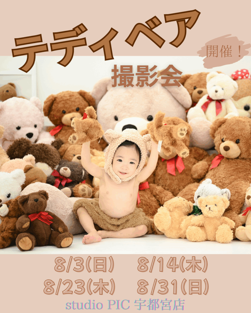 スタジオピック 宇都宮店 スタッフブログ 8月｜テディベア撮影会🧸【studioPIC宇都宮店✨写真館】