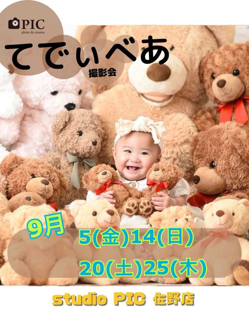 スタジオピック 佐野店 スタッフブログ てでぃべあ🧸撮影会 9月開催日🌟【スタジオピック佐野店 写真館📸】