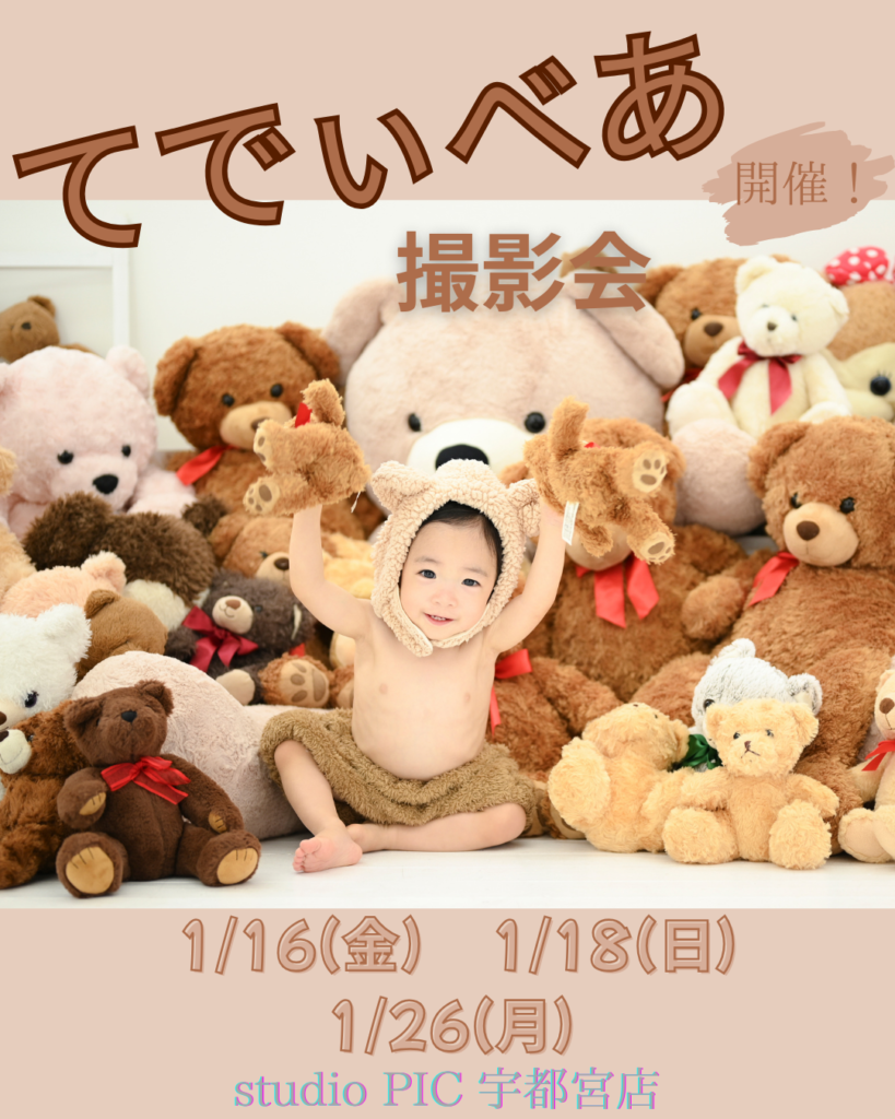 スタジオピック 宇都宮店 スタッフブログ 1月｜テディベア撮影会🧸【studioPIC宇都宮店✨写真館】