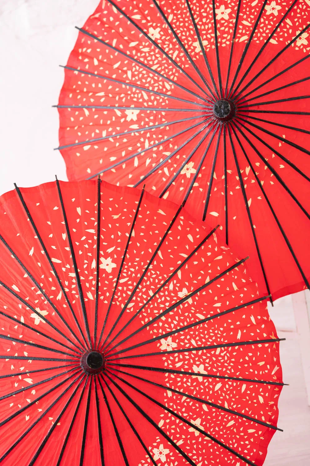 スタジオピック 写真館 スタジオ Studio PIC 衣装画像 タグ 