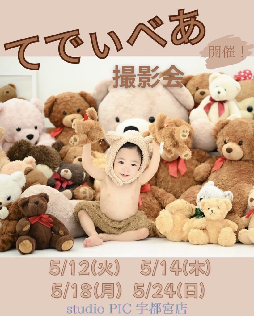 スタジオピック 宇都宮店 スタッフブログ 5月｜テディベア撮影会【スタジオピック宇都宮店✨写真館】