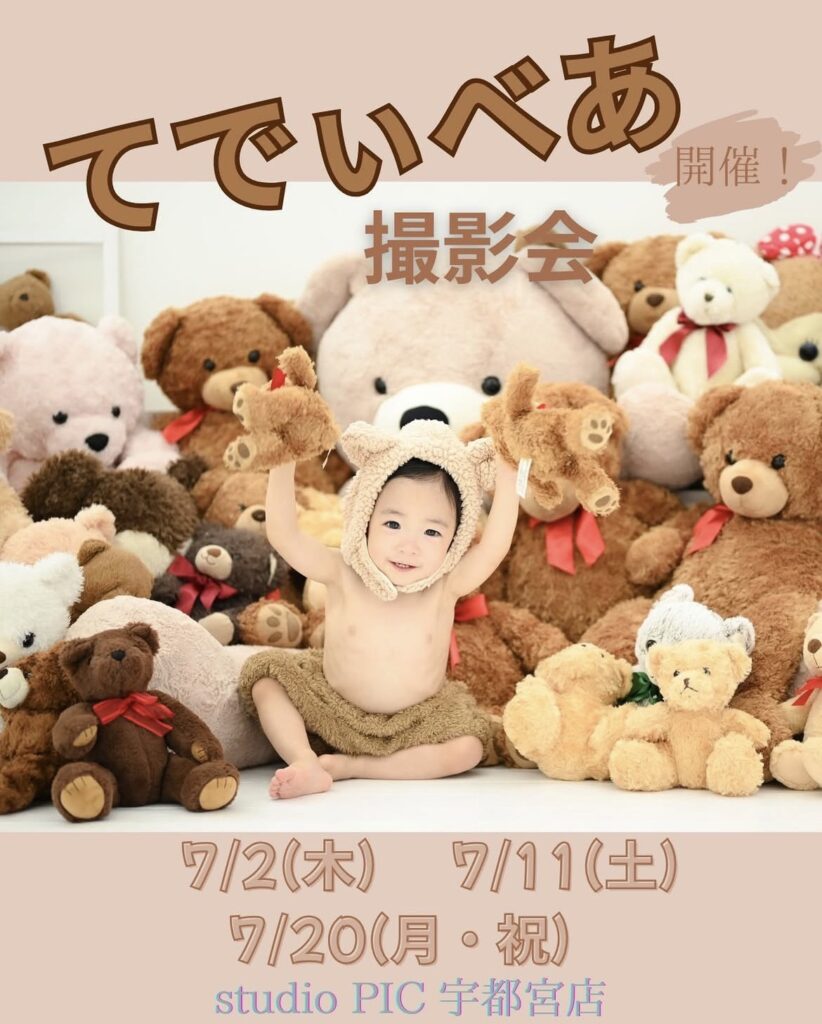 スタジオピック 宇都宮店 スタッフブログ 7月｜テディベア撮影会【スタジオピック宇都宮店✨写真館】