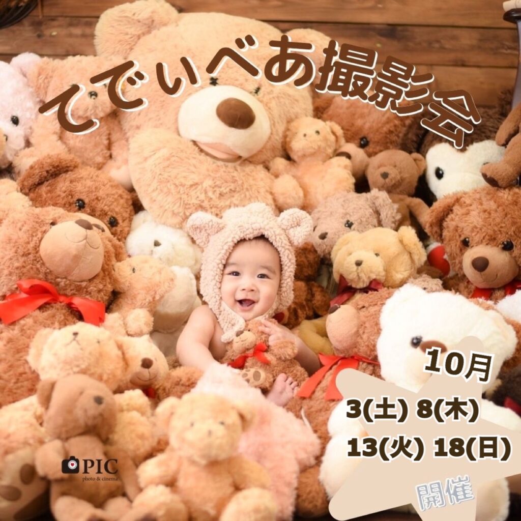 スタジオピック 佐野店 スタッフブログ てでぃべあ撮影会🧸【スタジオピック佐野店 写真館📸】