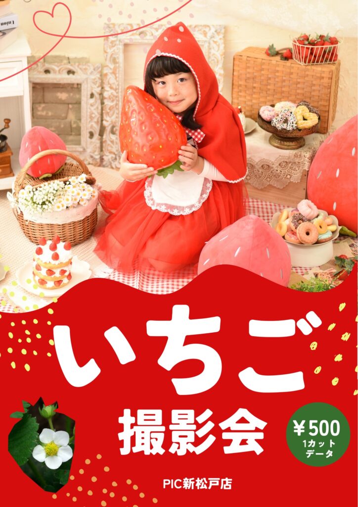 スタジオピック 新松戸店 スタッフブログ いちご撮影会🍓